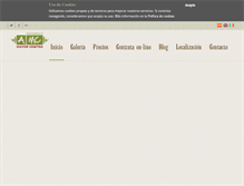 Tablet Screenshot of apartamentosmadrid.info